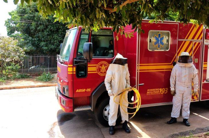 Ataques de abelhas podem ser evitados com alguns cuidados, alerta Corpo de Bombeiros