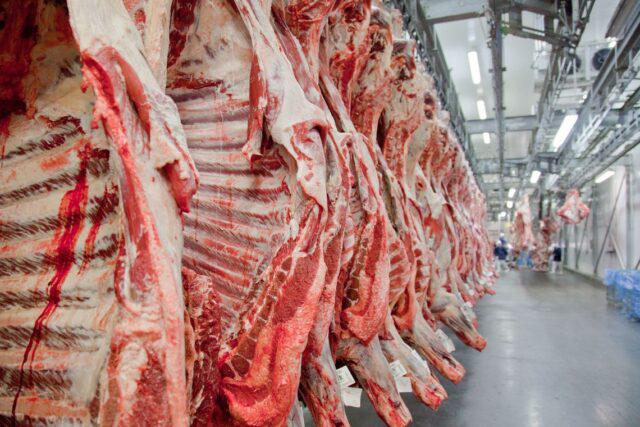 Carne bovina: exportação cresce 17% em janeiro