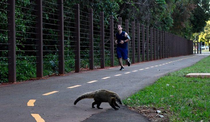 Amigos do Parque tem nova edição neste fim de semana em campo