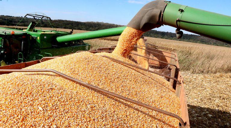 Produção agrícola de Mato Grosso do Sul deve aumentar 10% em um ano