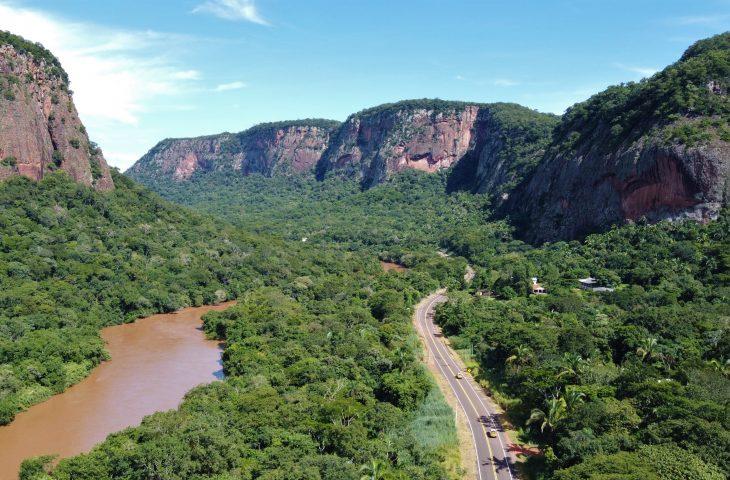 Programa Estrada Viva monitora rodovias estaduais e propõe adaptações para segurança da fauna