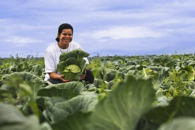 Governo dará prioridade a mulheres, negros e indígenas na compra de alimentos