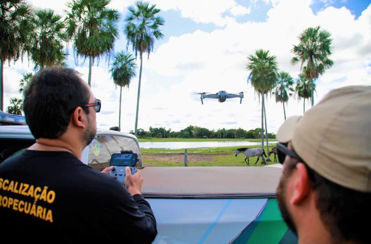 Ofensiva contra gripe aviária vai além da fronteira e mira até fluxo de migração de aves