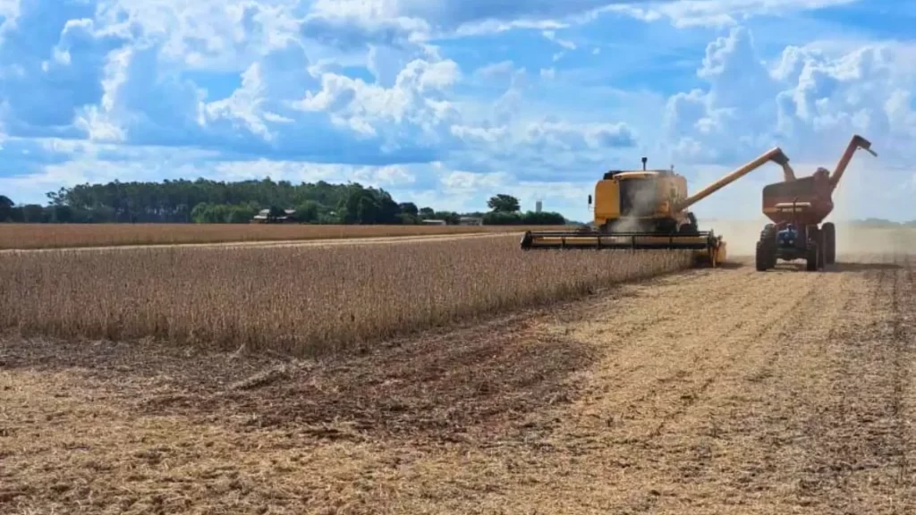 Na esperança de ver preço subir, produtores de MS estocam soja e ‘torcem contra’ safra dos EUA