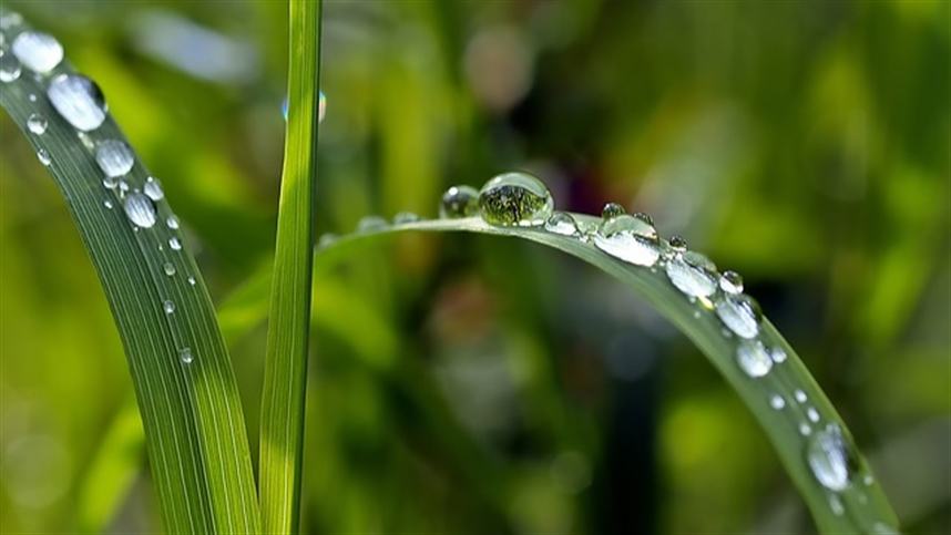 Chuvas do El Niño já preocupam alguns estados do Brasil