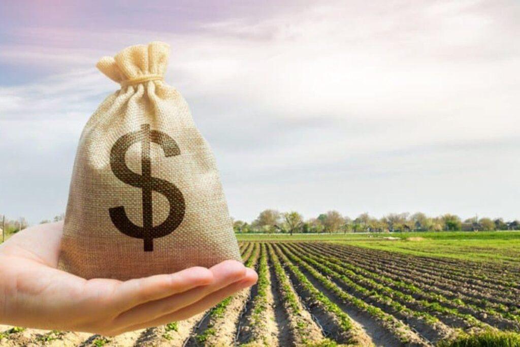 CRÉDITO RURAL: agro ganha reforço de R$ 7,6 bilhões