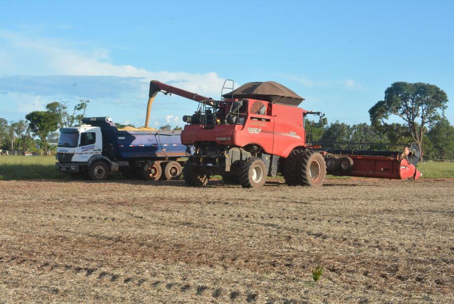 Proposta para tornar Campo Grande a ‘Capital do Agro’ começa a tramitar na Assembleia