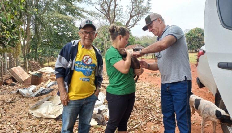 Prefeitura de Chapadão do Sul Inicia Campanha de Vacinação Contra a Raiva para Cães e Gatos