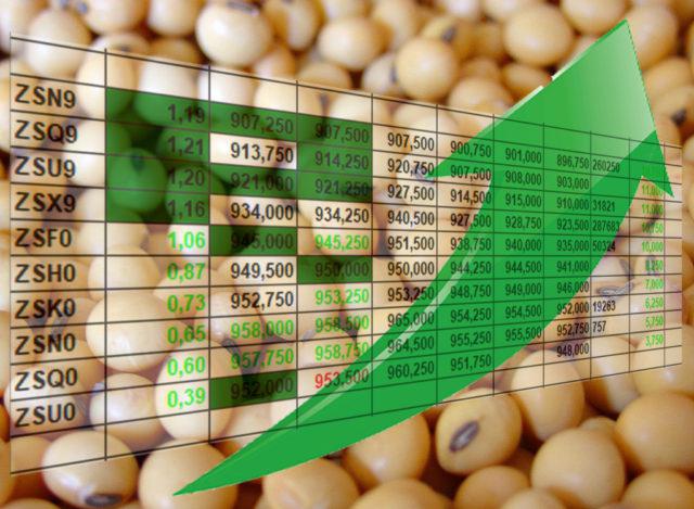 Produtores de soja devem ter lucratividade positiva em 2024, projeta Datagro