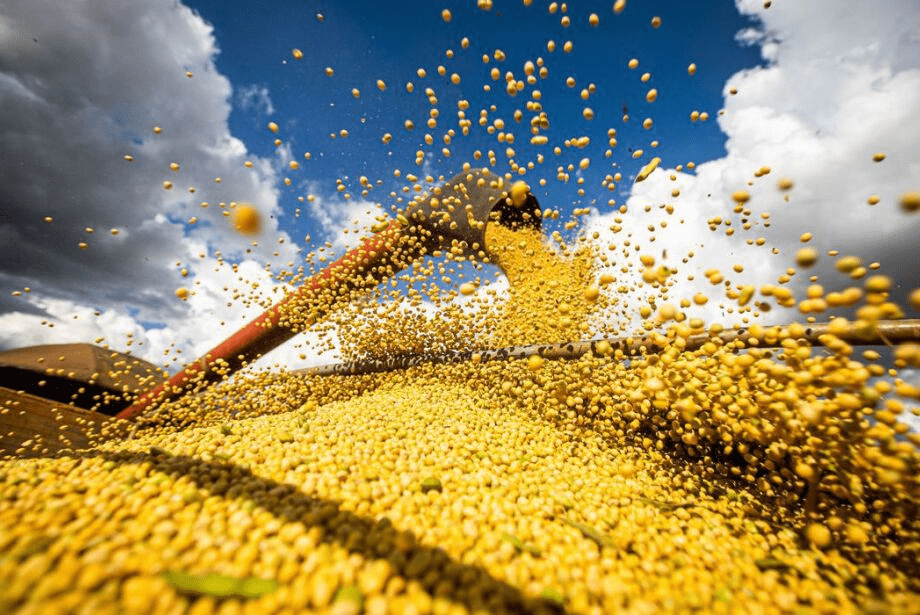 BC aumenta projeção de crescimento do PIB de 2% para 2,9%