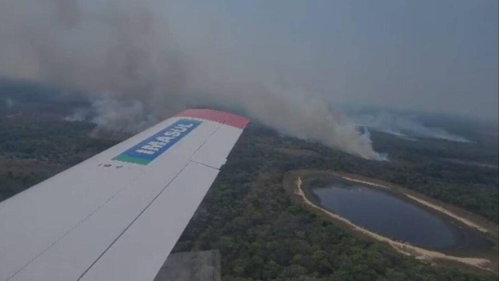 Incêndios já destruíram 1,3 mil hectares no Pantanal de Mato Grosso do Sul