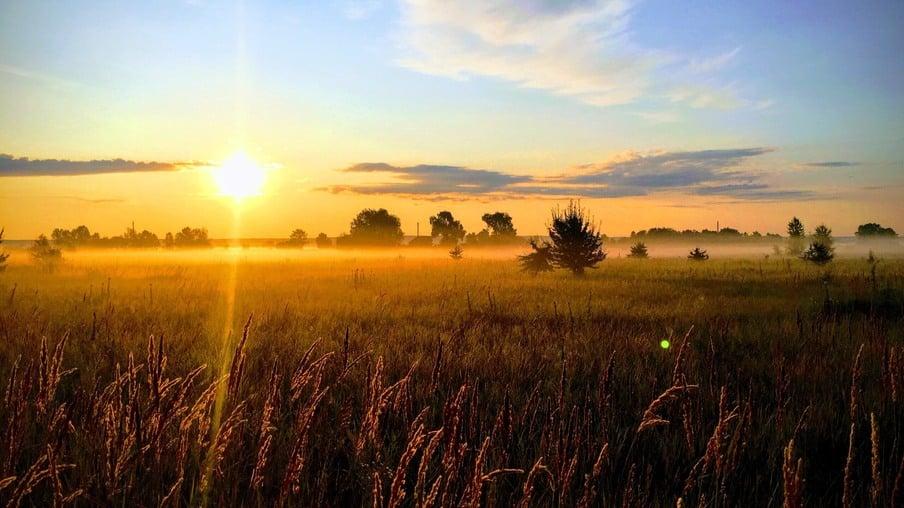 Cidade ou campo: qual sofre mais com o calor?