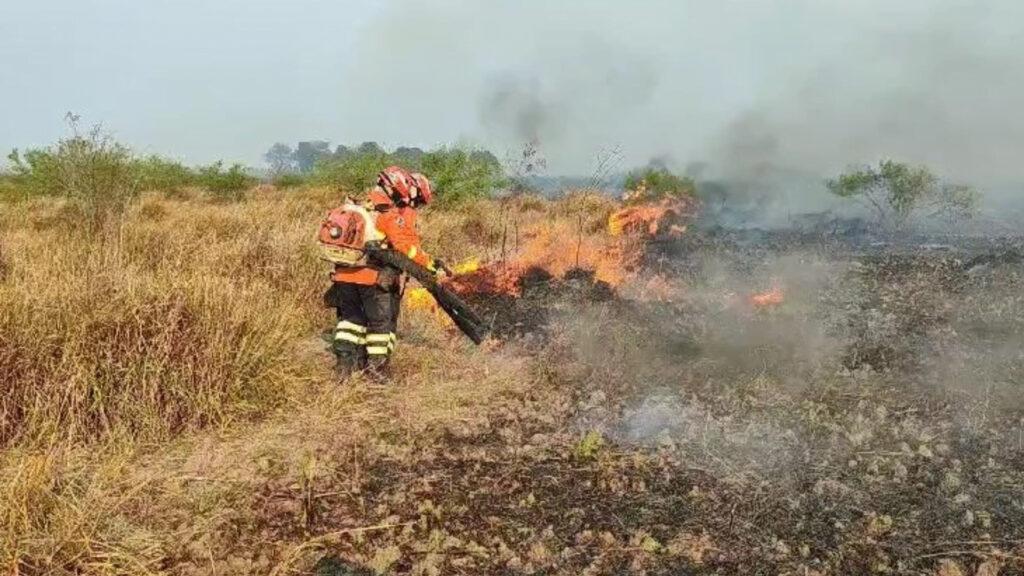 Famasul e Senar atuam para recuperar 500 fazendas no Pantanal afetadas pelo fogo