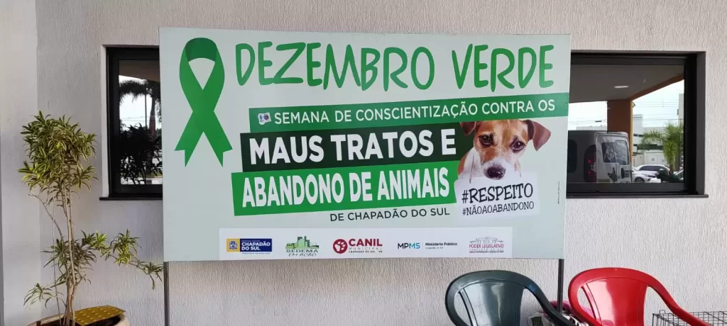 Dezembro Verde Pet: Canil Promove Conscientização contra Maus Tratos e Abandono de Animais