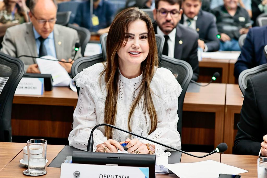 Deputada Mara Caseiro pede dispensa de exigência em edital da Lei Aldir Blanc