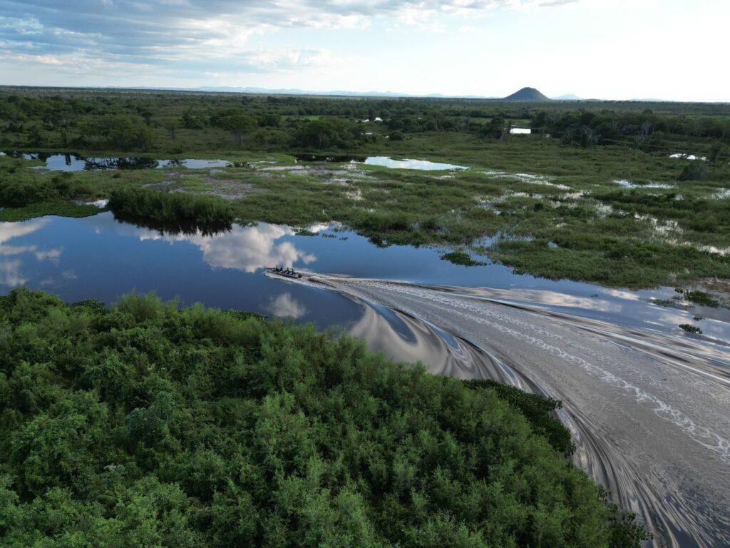 Produtores terão de refazer pedidos de supressão no Pantanal a partir de fevereiro