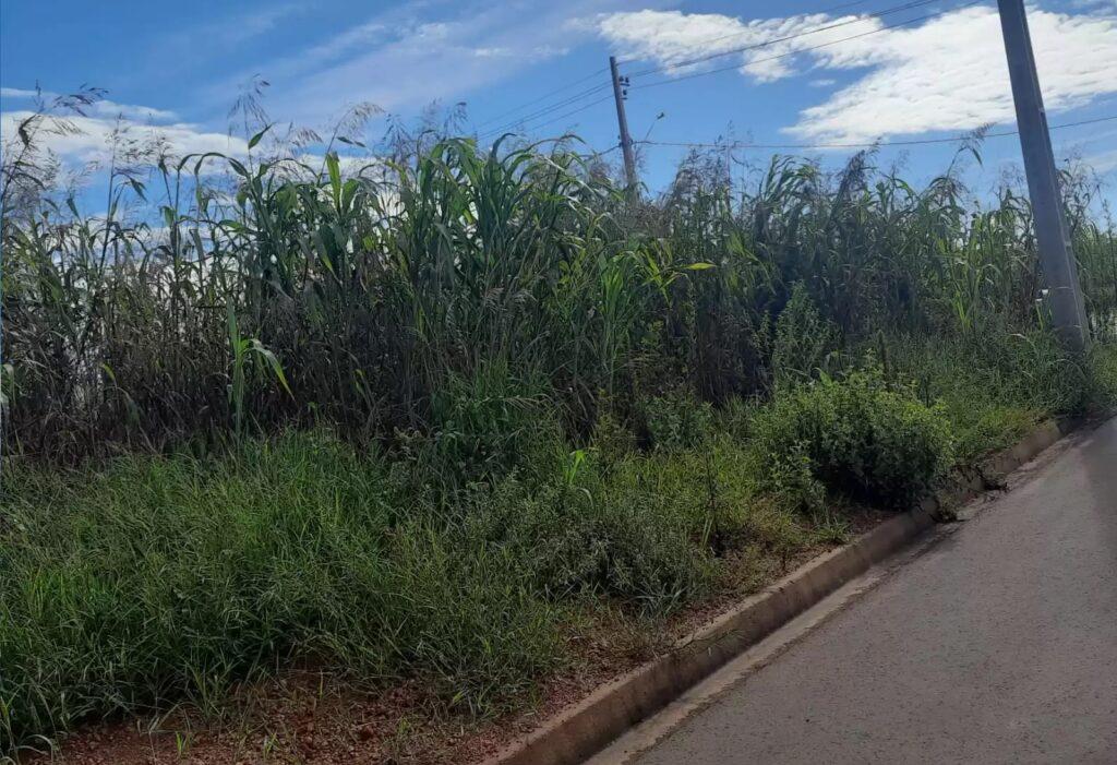 Ação da Prefeitura de Chapadão do Sul convoca população para alimpeza de lotes baldios