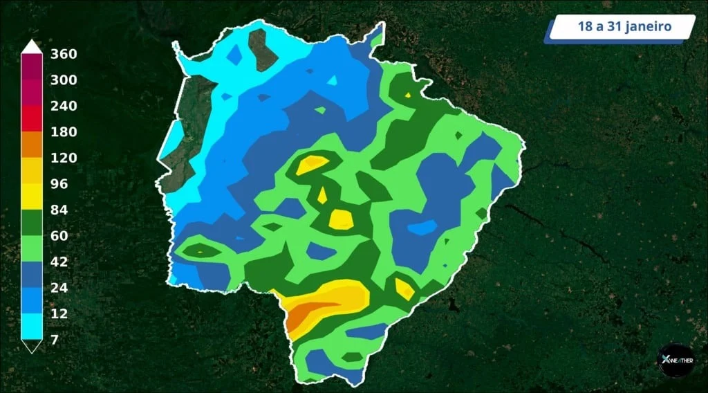 Clima deve provocar diferenças de produtividade no algodão de MS