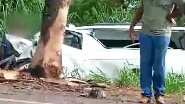 Carro de funerária bate em árvore e motorista morre em acidente em rodovia de MS