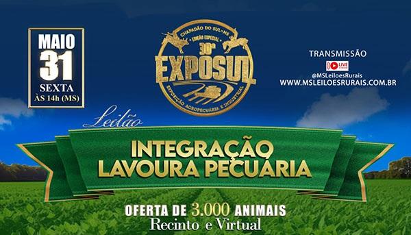 Leilão de gado da 30ª EXPOSUL oferta 3.000 animais dos melhores criadores da região