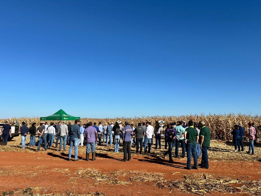 Fundação Chapadão realiza Dia de Campo Milho Safrinha