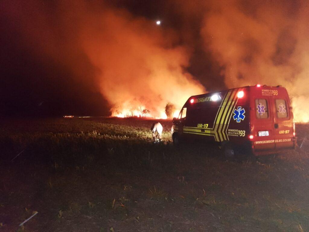 Mata nativa a 30km de Chapadão do Sul é consumida pelo fogo