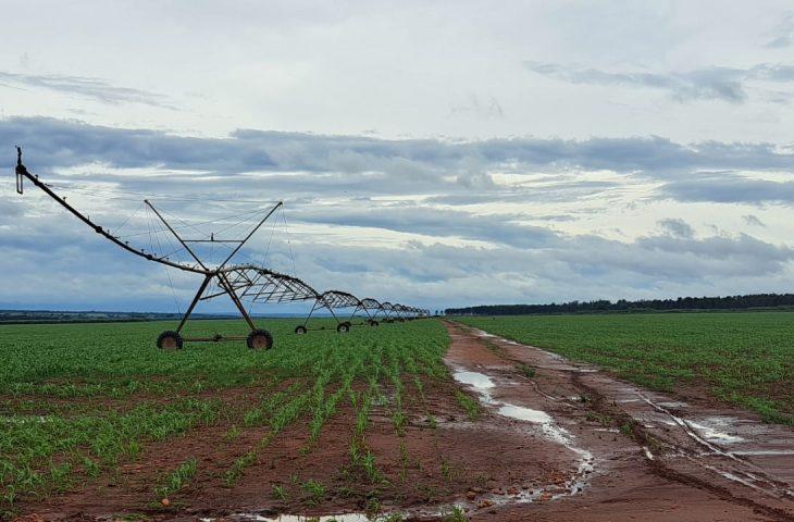 FCO para MS: R$ 227 milhões são aprovados para empreendimentos em diversas áreas