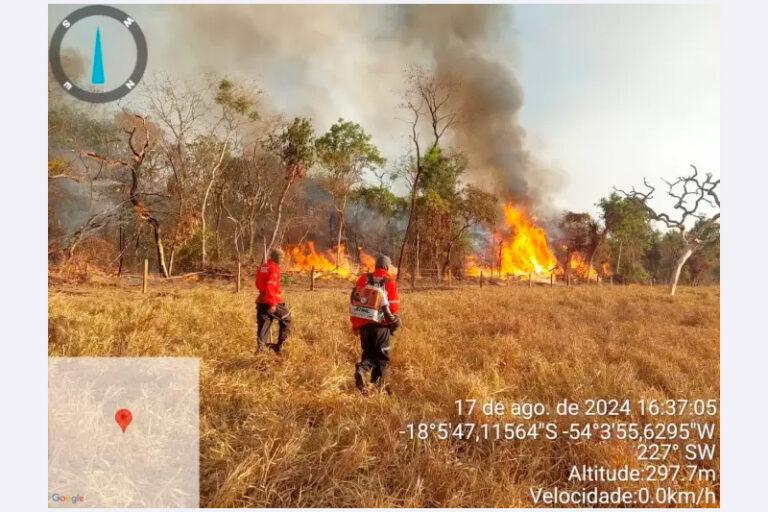 Incêndio em Alcinópolis mata animais e destrói mais de 700 hectares de pastagens