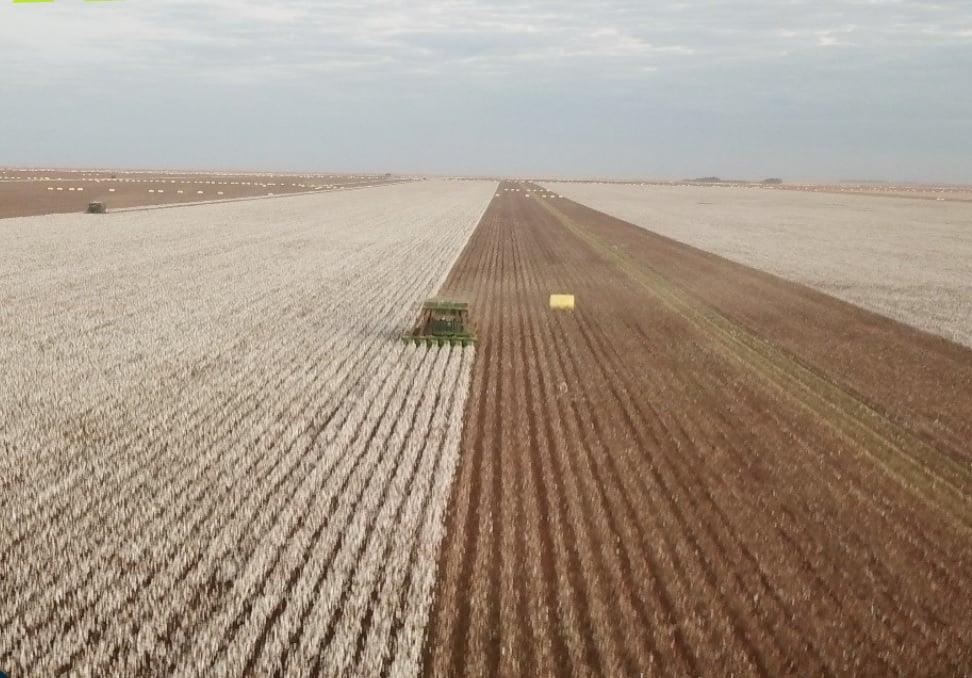 100 municípios mais ricos no agro contribuem com 31,9% da produção agrícola brasileira