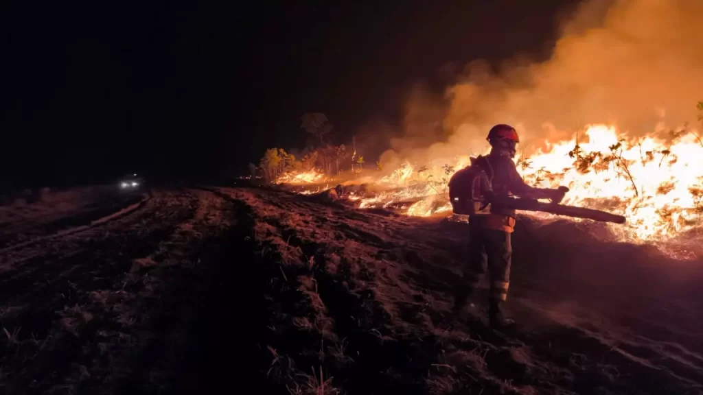 Incêndios que devastaram Pantanal renderam R$ 310 milhões em multas; veja quem são os infratores