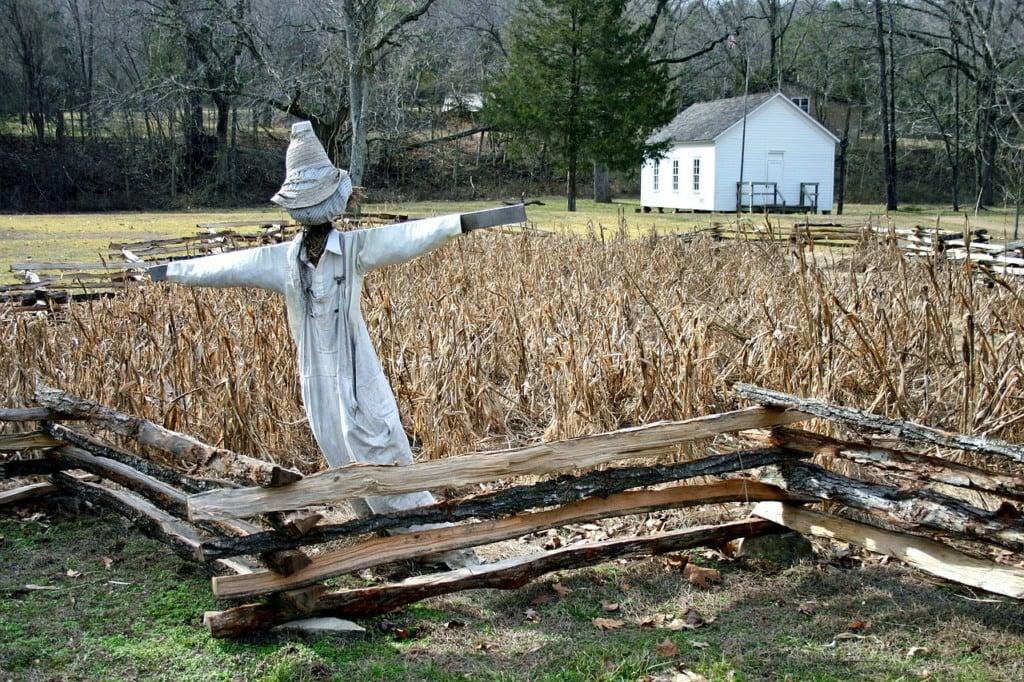 O que o agro tem a ver com o Halloween? Entenda