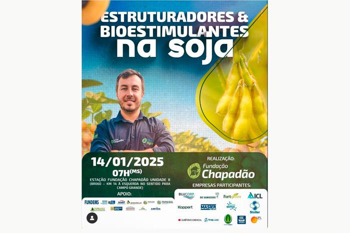 É nesta terça-feira (14) o dia de campo da Fundação Chapadão sobre estruturadores e bioestimulantes na soja