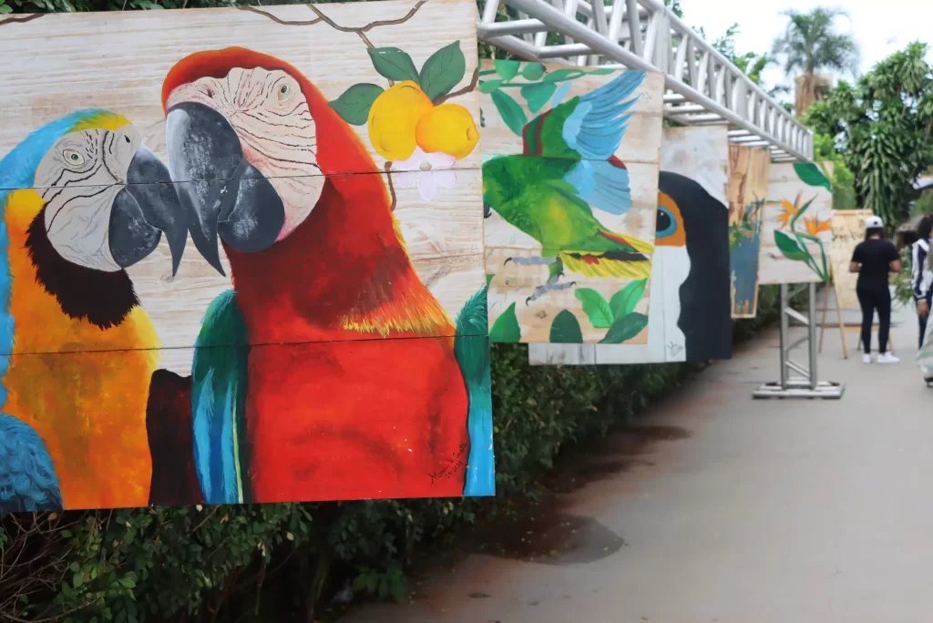 Projeto “Do Lixo ao Luxo” promove sustentabilidade e arte em Chapadão do Sul