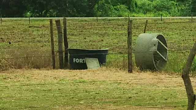 Bebê morre afogado em caixa d’água dos cavalos e outro em piscina de Bonito