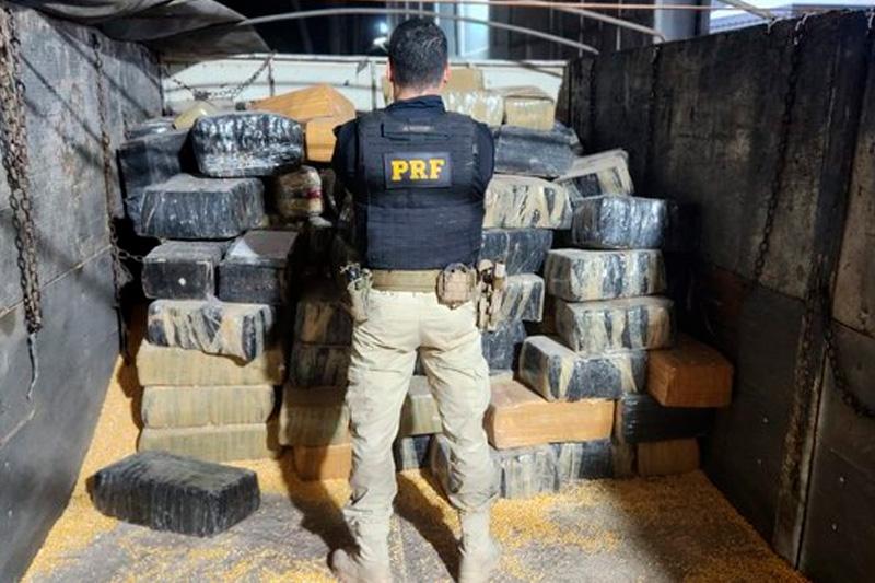 PRF apreende 3,3 toneladas de maconha em carga de milho em MS