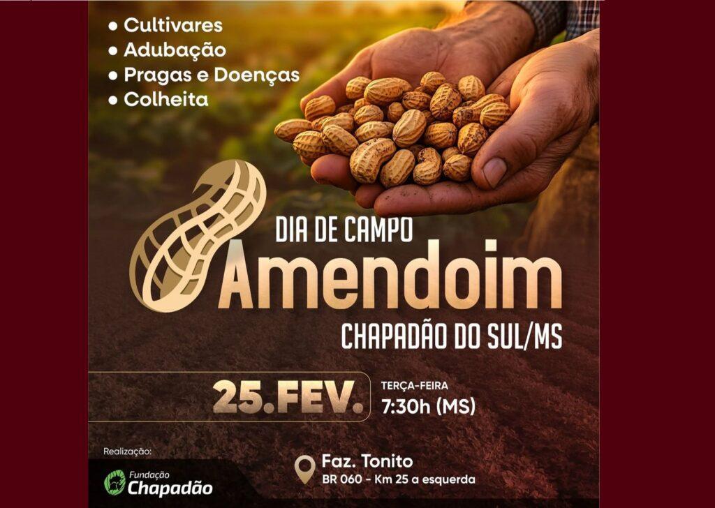 Agende: Dia de Campo sobre Amendoim da Fundação Chapadão no dia 25 de fevereiro