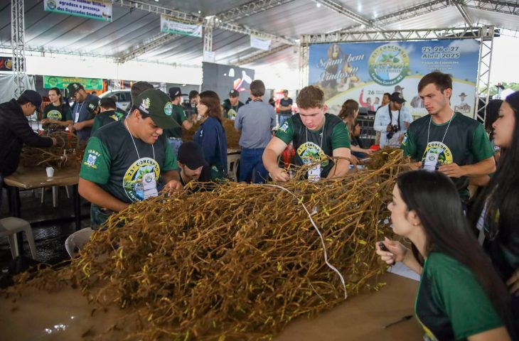 Laguna Carapã realiza o 25º Concurso Pé de Soja e comemora investimentos em infraestrutura 