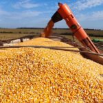 Mato Grosso do Sul antecipa vendas e já comercializa 30% da safra de soja 2026/27