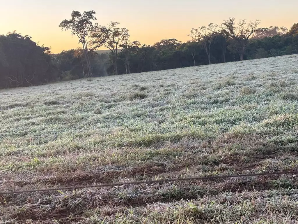 Sensação térmica de -3,8°C congela água e cobre carros com gelo em MS