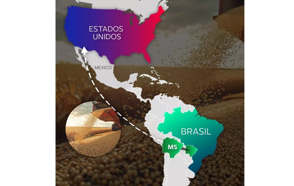 Trump deve recuar de taxa e MS pode lucrar com compra antecipada, diz economista