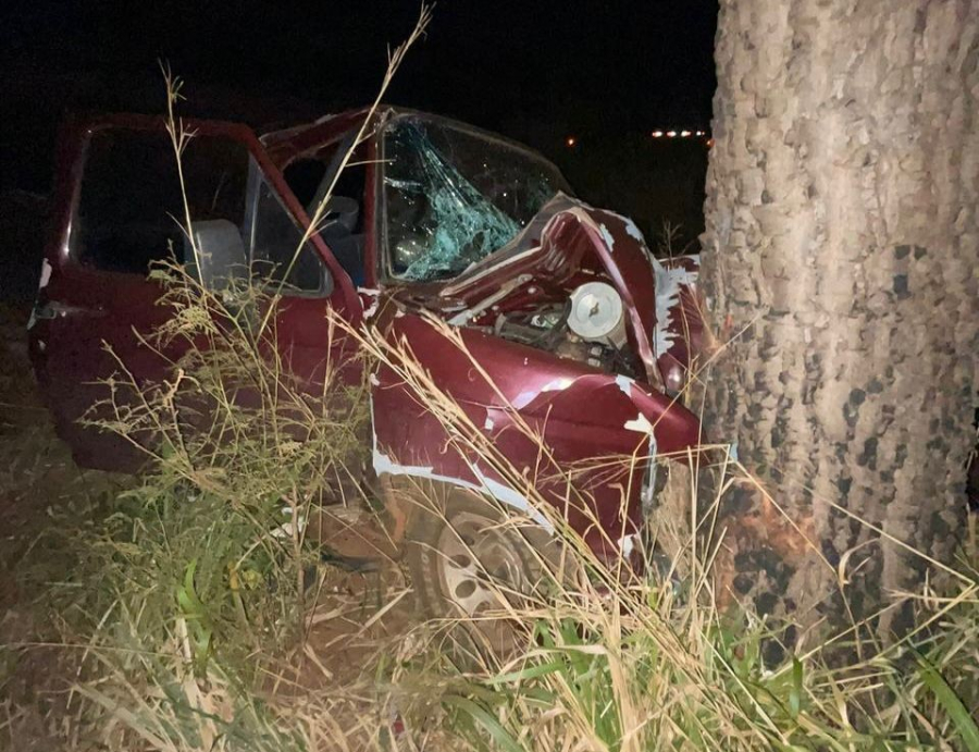 Casal de idosos de Camapuã fica ferido após carro bater em árvore na BR-060