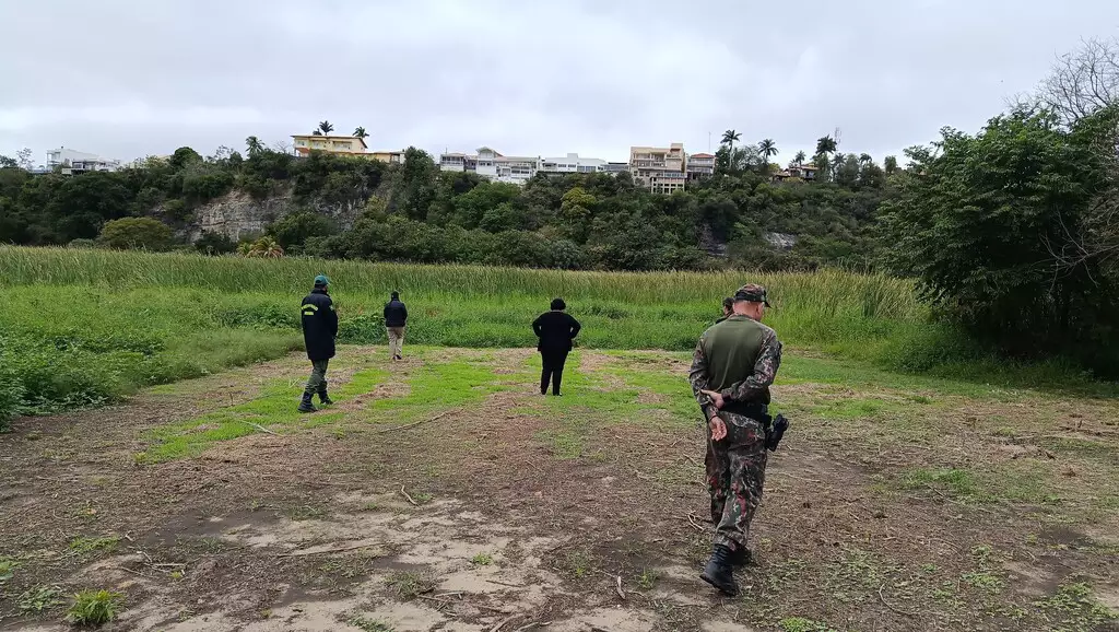 Ibama planeja captura da onça que atacou morador em Corumbá