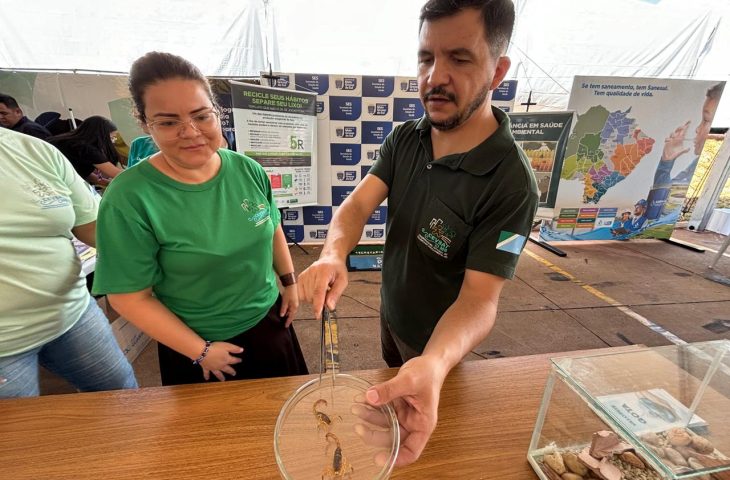 Com período de maior atividade dos escorpiões, SES de MS monitora avanço dos acidentes e reforça atendimento