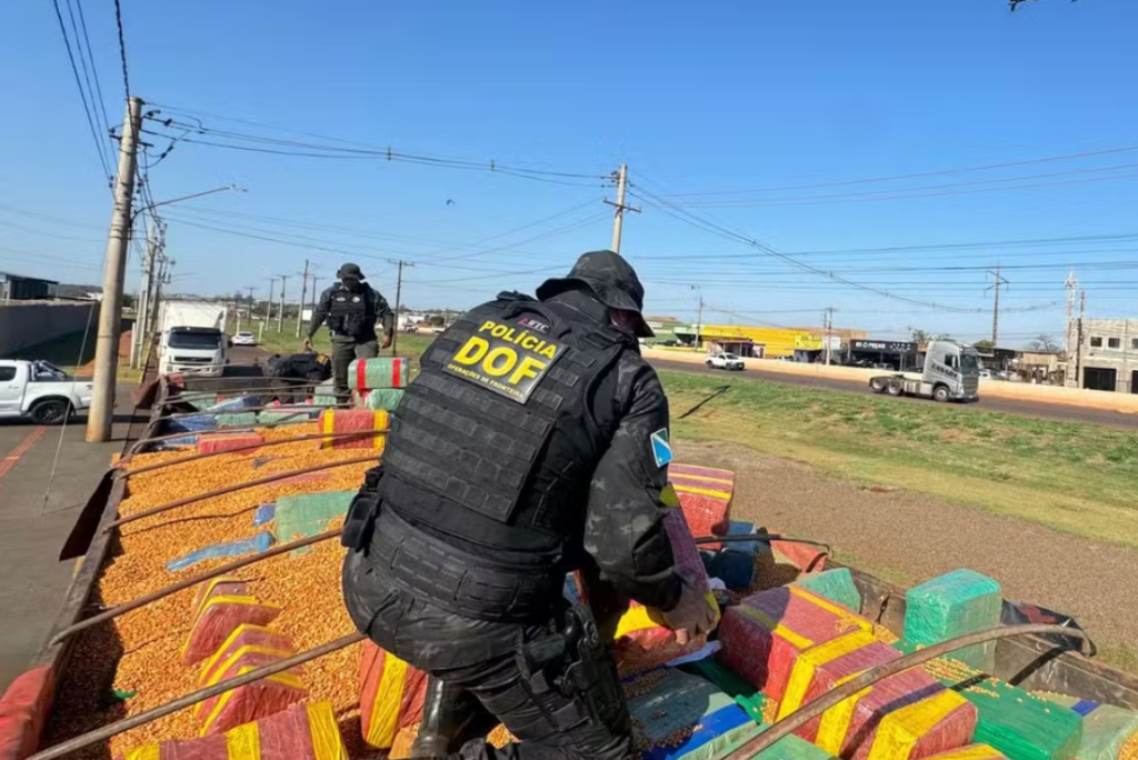 Carga de milho vira esconderijo para 15 toneladas de maconha em MS