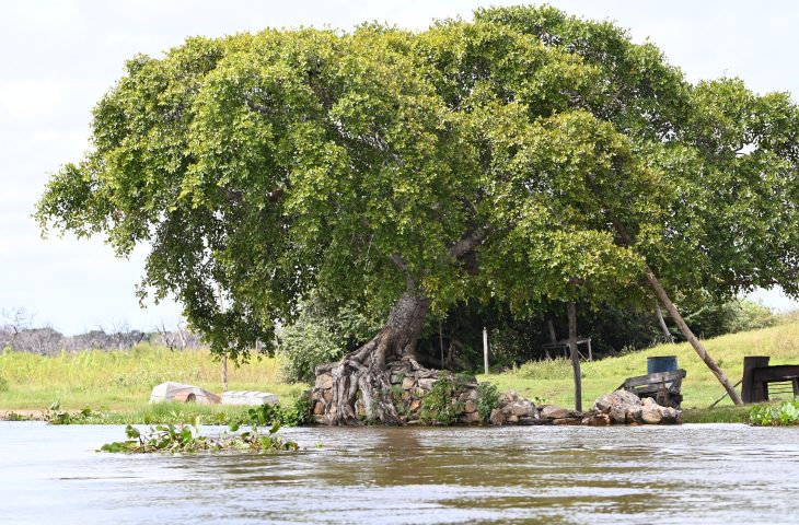 Imasul reforça monitoramento hidrológico e apresenta a situação dos rios em 2025