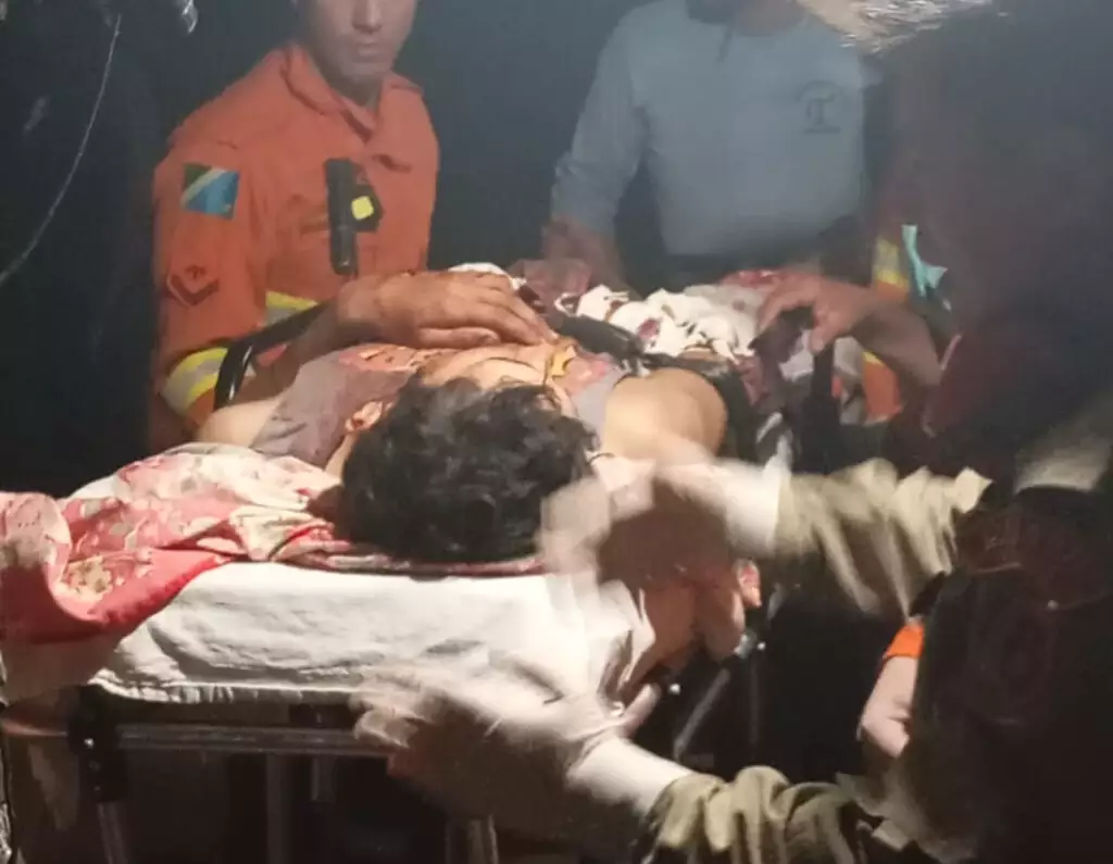 Ataque de onça a peão indica equilíbrio ambiental, segundo veterinário