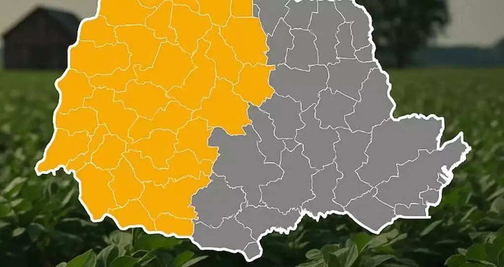 Renegociação Rural e Ilegalidades da Resolução 5.247