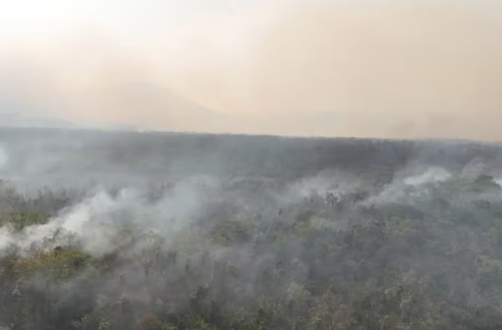 Incêndio que atinge santuário no Pantanal já destruiu área equivalente a 15 mil campos de futebol