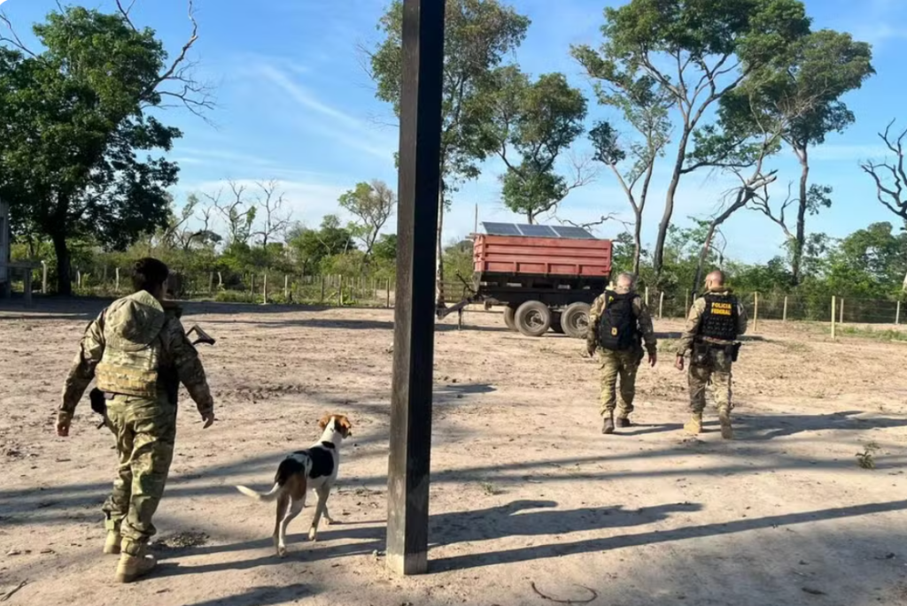 Fazenda que usava terra da União para criação de gado é investigada por fraude e incêndio no Pantanal