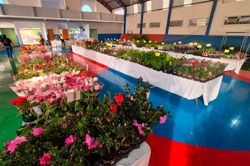 XVII Expoflor de Chapadão do Sul começa nesta quarta